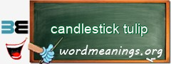 WordMeaning blackboard for candlestick tulip